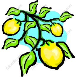 Fresh Lemon Branch