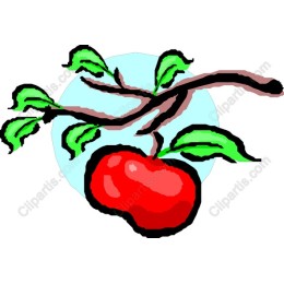 Red Apple on Branch