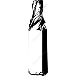 Elegant Wrapped Bottle