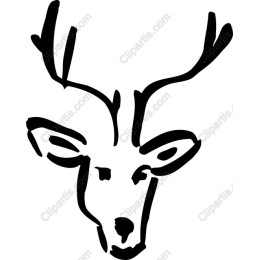 Elegant Deer Head