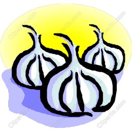 Vibrant Garlic Bulbs