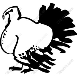 Whimsical Bird