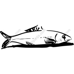 Artistic Fish