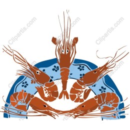 Vibrant Shrimp