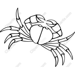 Detailed Crab