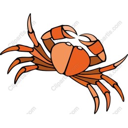 Vibrant Crab