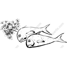 Aquatic Life : Fish and Plant