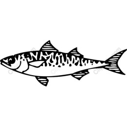 Elegant Fish