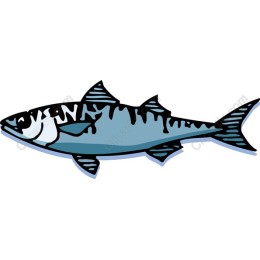 Vibrant Marine Fish