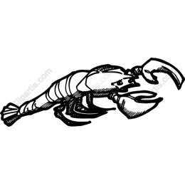 Hand-Drawn Lobster