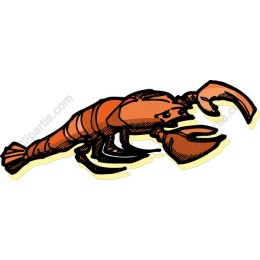 Lobster - Hand-Drawn Seafood