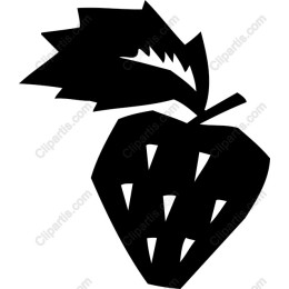 Bold Strawberry