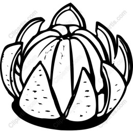 Elegant Lotus Flower