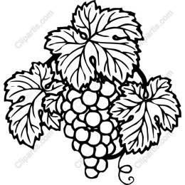 Elegant Grape Vine