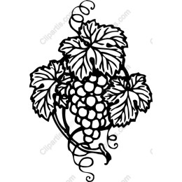 Grapes and Vines