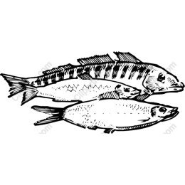 Intricate Fish