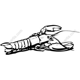 Lobster
