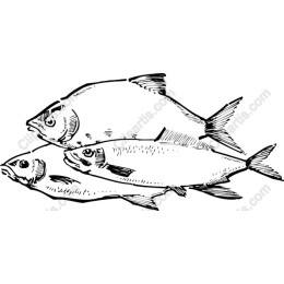 Trio of Fish
