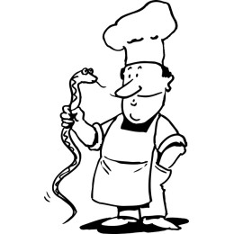 Playful Chef with Snake