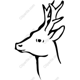 Elegant Deer Head