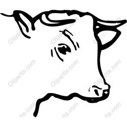 Black and White Cow Head