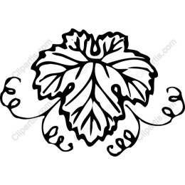 Grape Leaf Vine