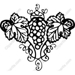 Grape Vine