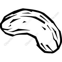 Hand-Drawn Cashew Nut