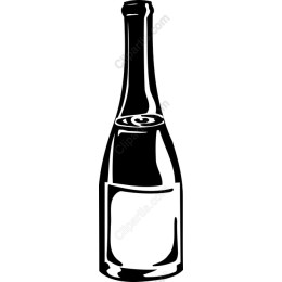 Chic Champagne Bottle