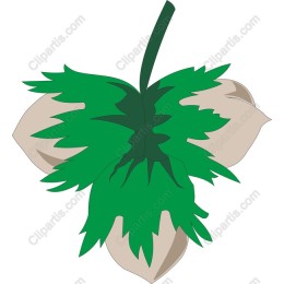 Vibrant Leaf