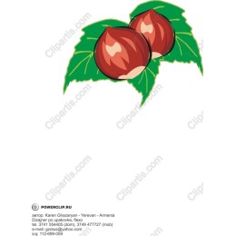 Hazelnut