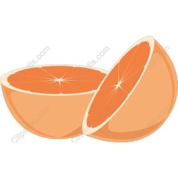 Fresh Orange Slice