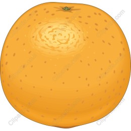 Vibrant Orange