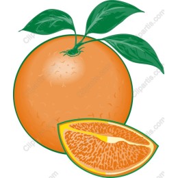 Vibrant Orange
