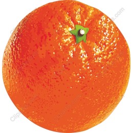 Vibrant Orange