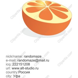 Vibrant Sliced Orange