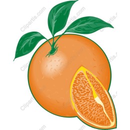 Vibrant Orange