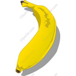 Lively Banana