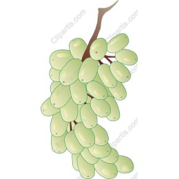 Vibrant Green Grapes