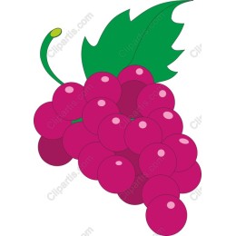 Vibrant Grape