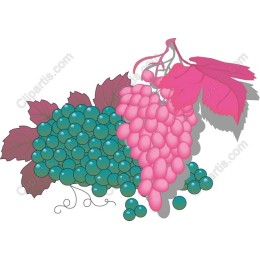 Vibrant Grapes