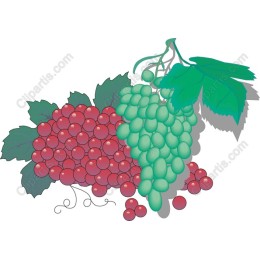 Vibrant Grape