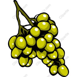 Vibrant Green Grapes