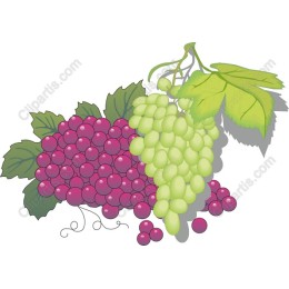 Grapes Delight