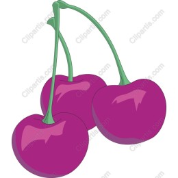 Three Purple Cherries
