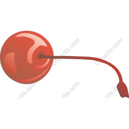 Vibrant Cherry