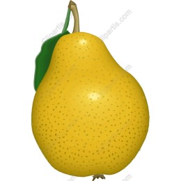 Yellow Pear