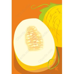 Juicy Melon Slice