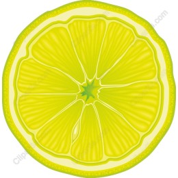 Fresh Lemon Slice
