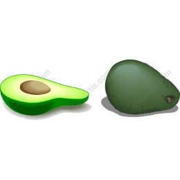 Fresh Avocado